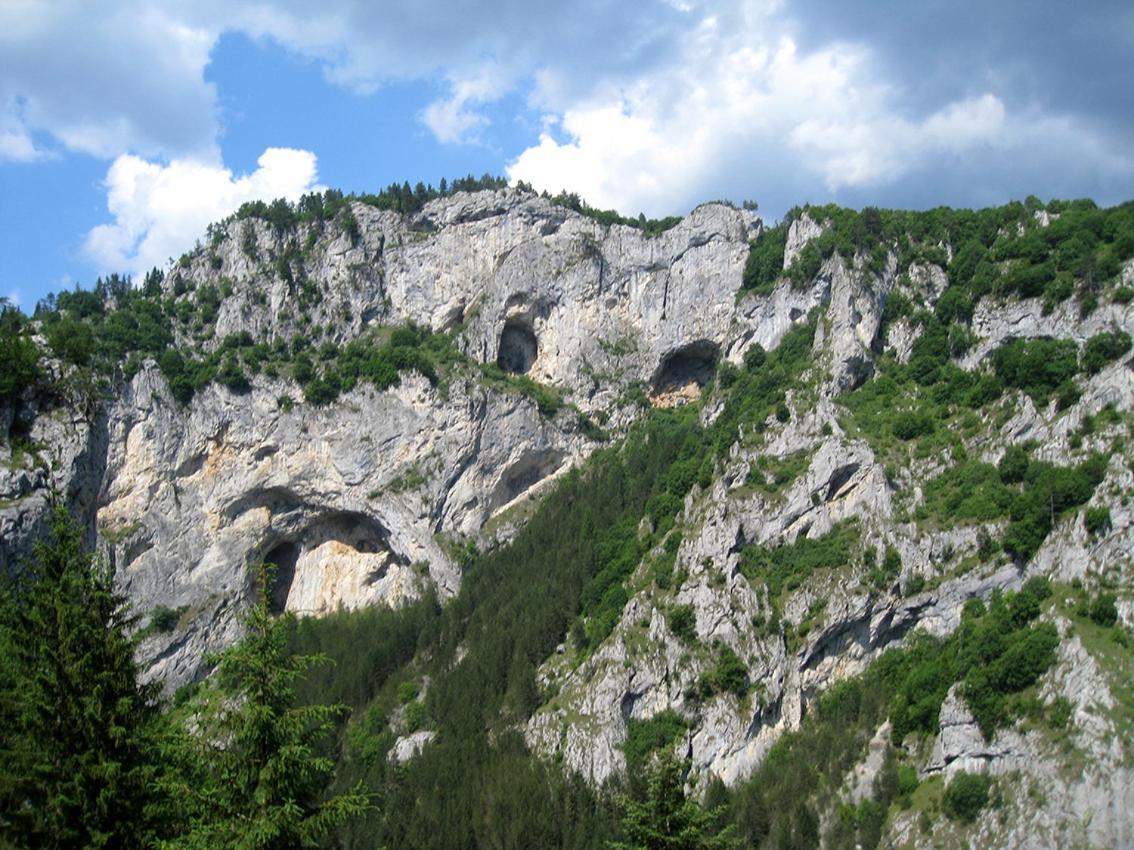 Къща Край Реката - Триград Bagian luar foto