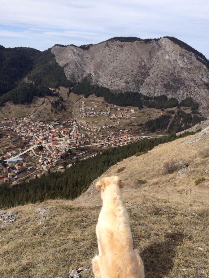 Къща Край Реката - Триград Bagian luar foto