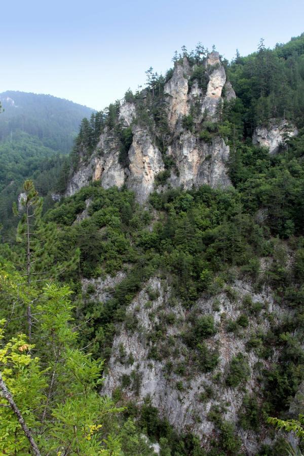 Къща Край Реката - Триград Bagian luar foto